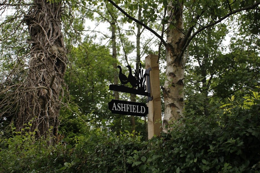 Photo London to Bicester Village