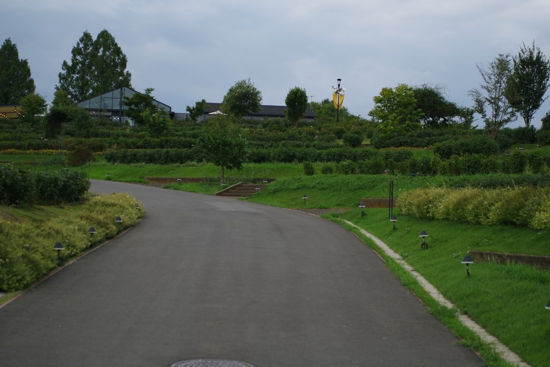 Photo Visit Sky Garden