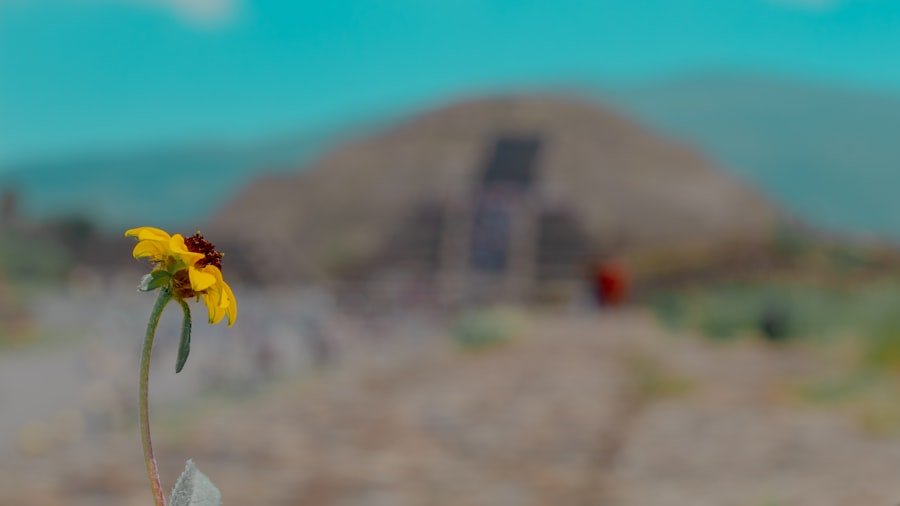 Sunset view from The Shard