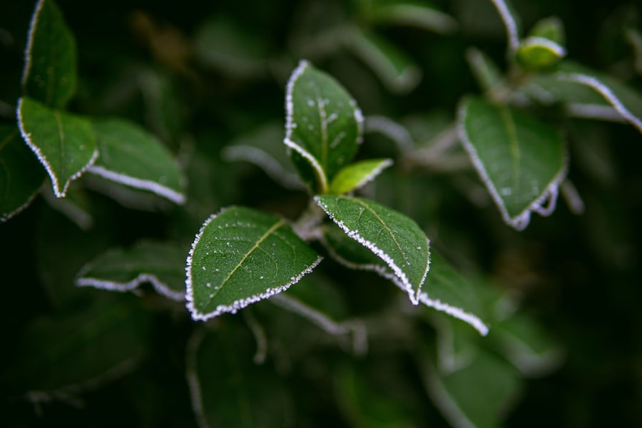 Photo London Weather