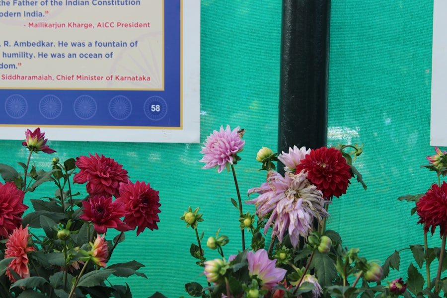 Photo Chelsea Flower Show Travel Guide