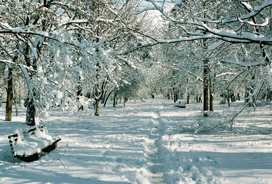 Photo Winter Wonderland Hyde Park