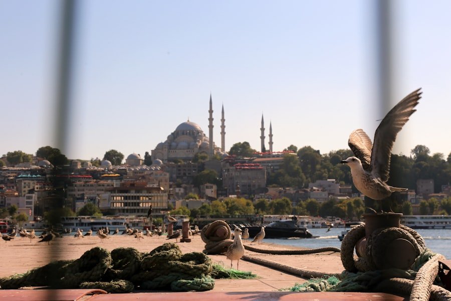 Photo Istanbul Card Guide