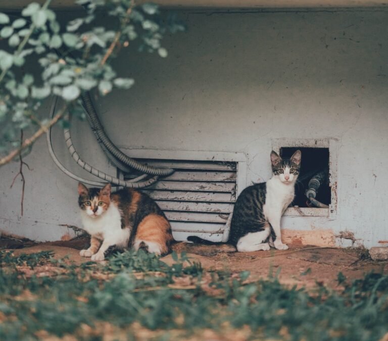 Photo family-friendly spots