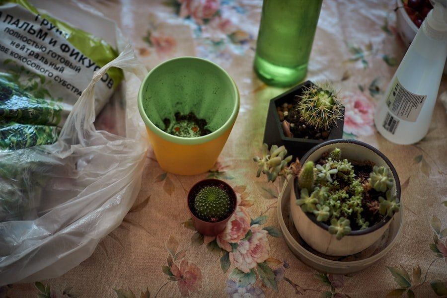 Photo Hagia Sophia Visiting Tips