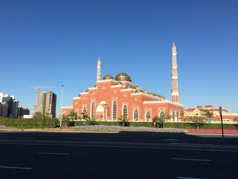 Photo Blue Mosque Visiting Tips