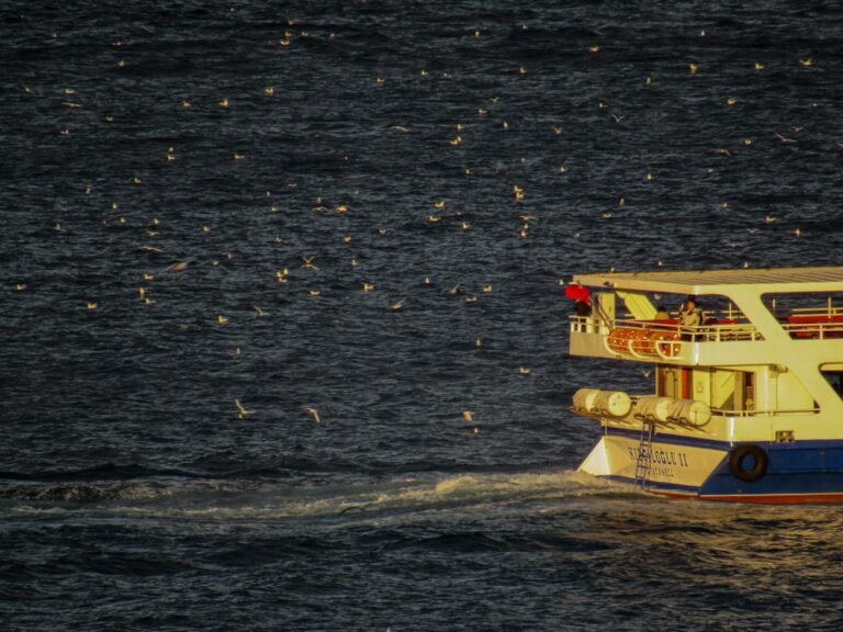 Photo Bosphorus Cruise Istanbul