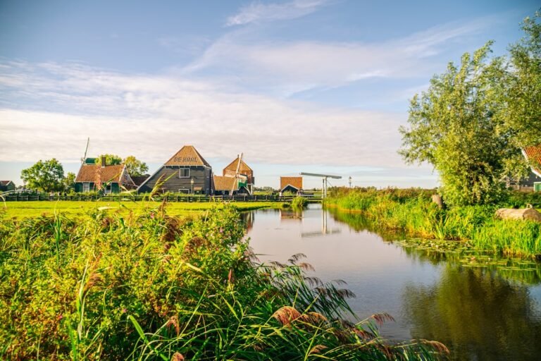 Photo Colorful Houses Guide