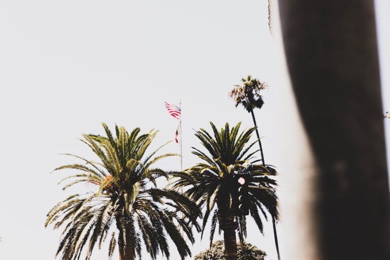 Photo Nisantasi Instagram spots