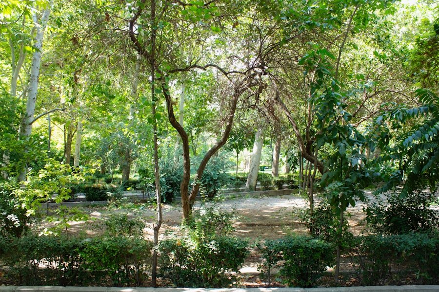 Photo Emirgan parks