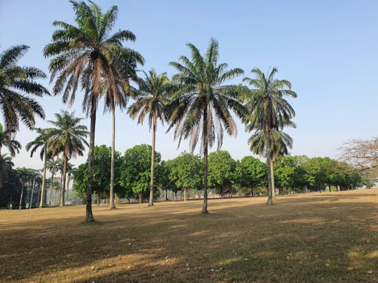 Photo Sultanahmet Parks