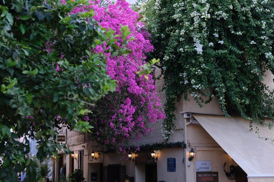 Photo Romantic Spots Galata