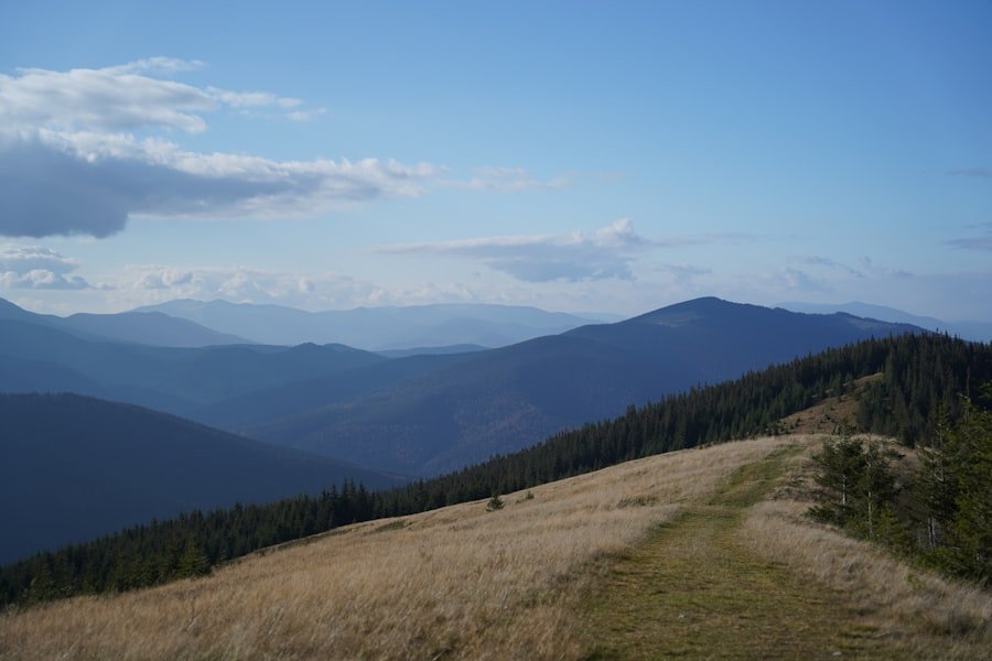 Rigi Panorama trail