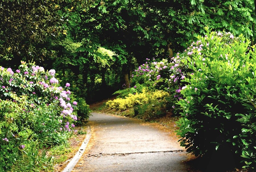 Pilatus flower trail