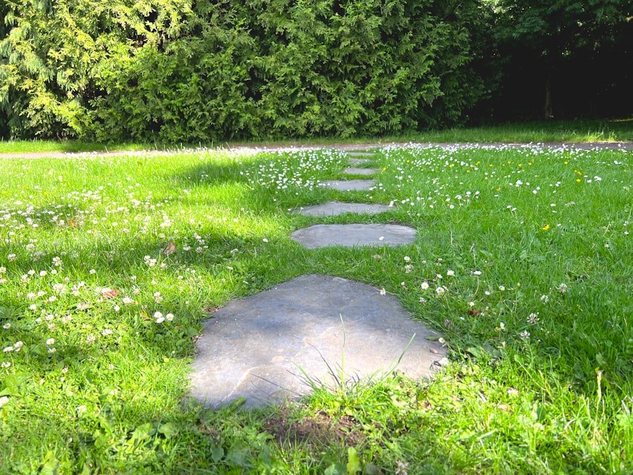 Pilatus flower trail