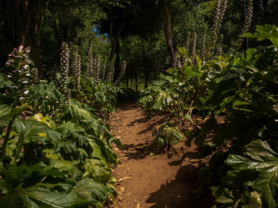 Pilatus flower trail difficulty