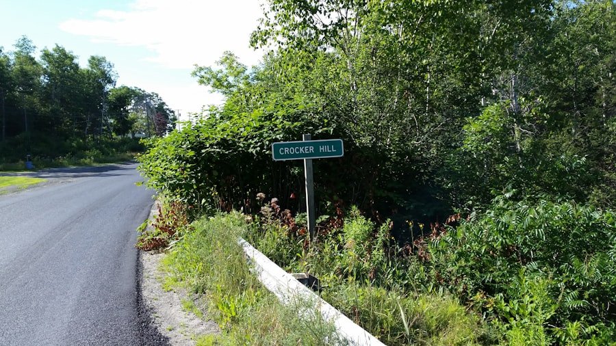 Gornergrat to Riffelalp trail