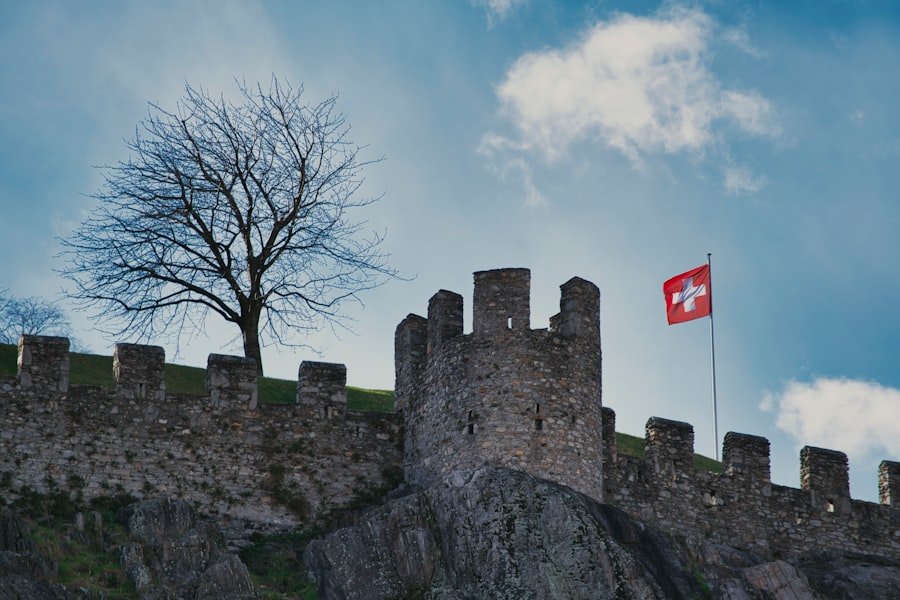 Lenzburg Castle guide