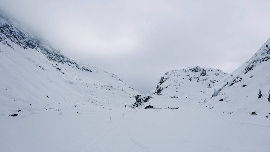 Grindelwald Wengen ski