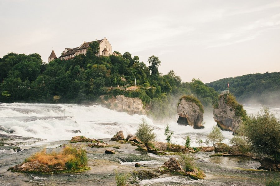 Rhine Falls