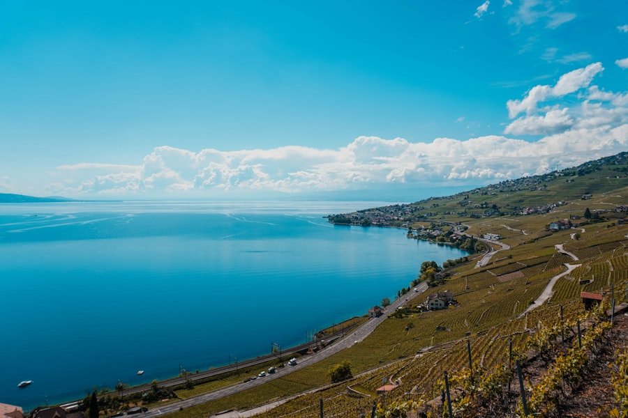 Lavaux
