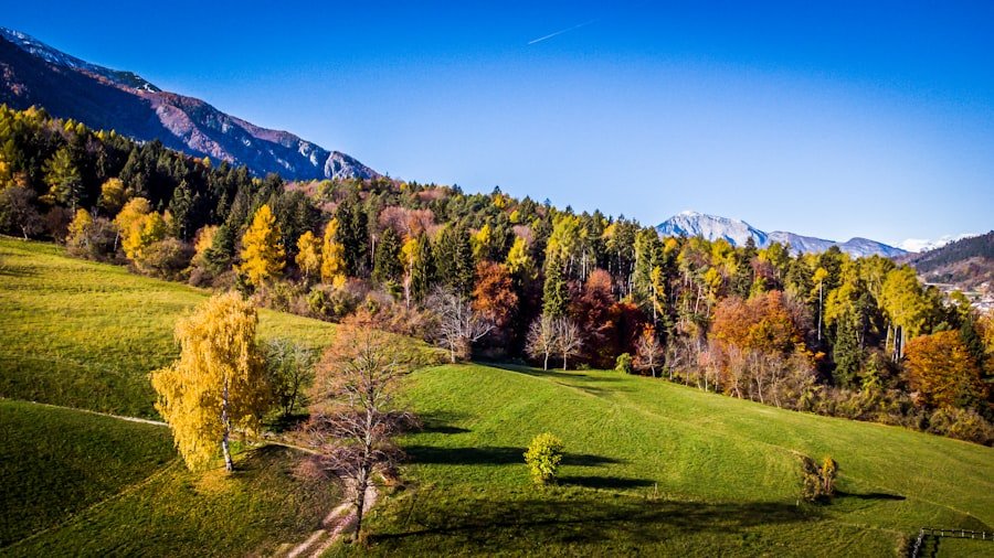 Swiss Alps autumn foliage spots