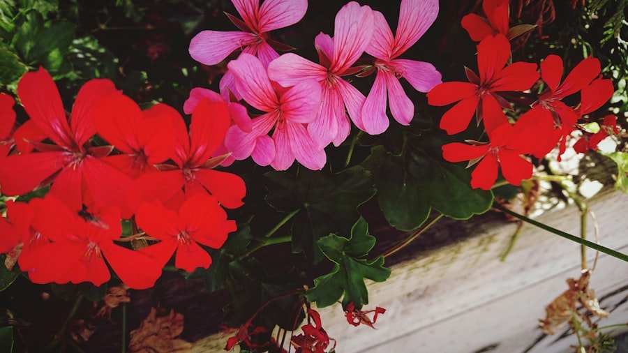 Instagram spots