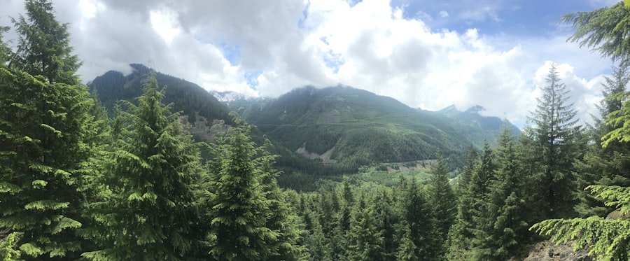 day trips from Grindelwald