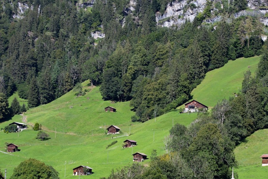 Grindelwald itinerary 1 day