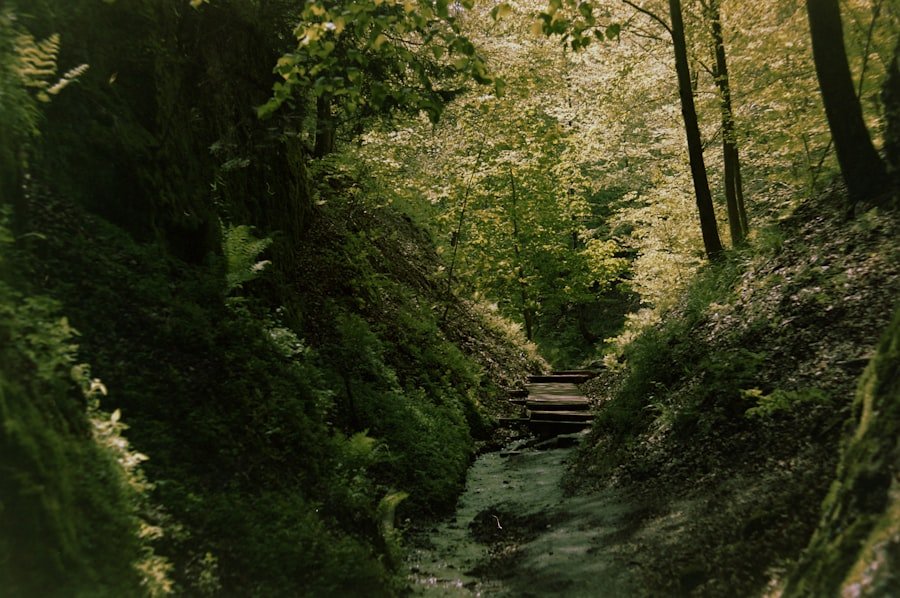 Lauterbrunnen valley walk