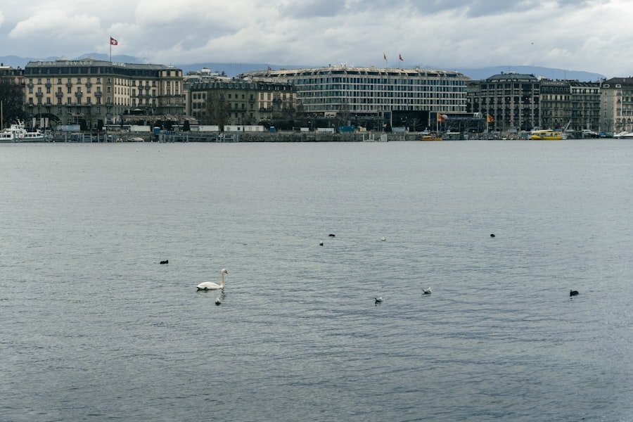 Geneva accommodation