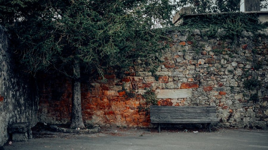 Rosenbaum House tour