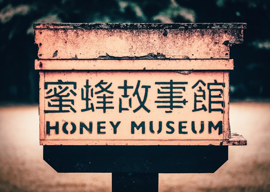 Hank Williams Museum Montgomery guide