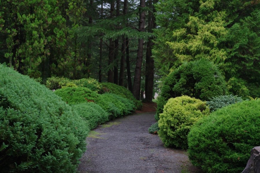 Huntsville Botanical Garden guide