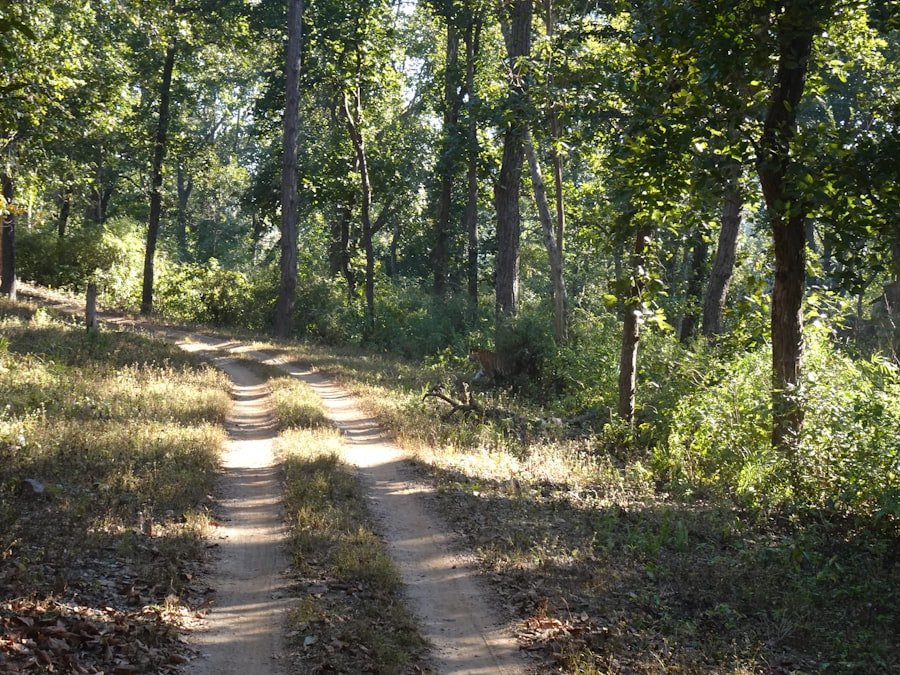 Selma to Montgomery trail guide