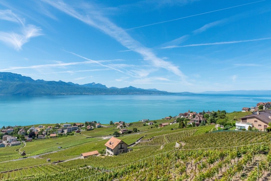 Lavaux vineyards