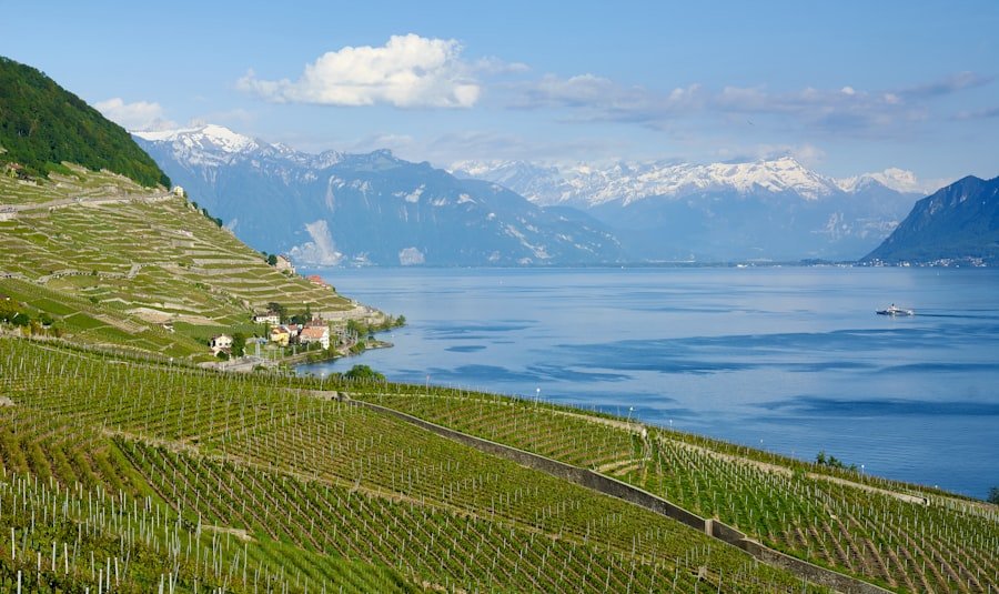 Terraced vineyards of Lavaux above Lake Geneva, Switzerland