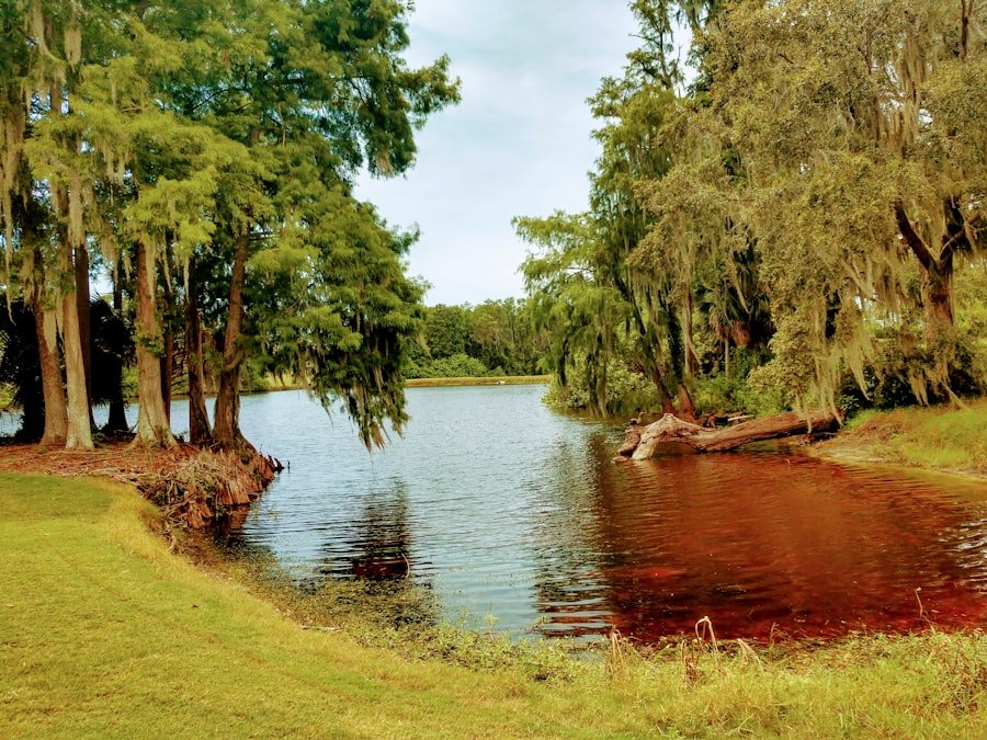 swimming holes Alabama