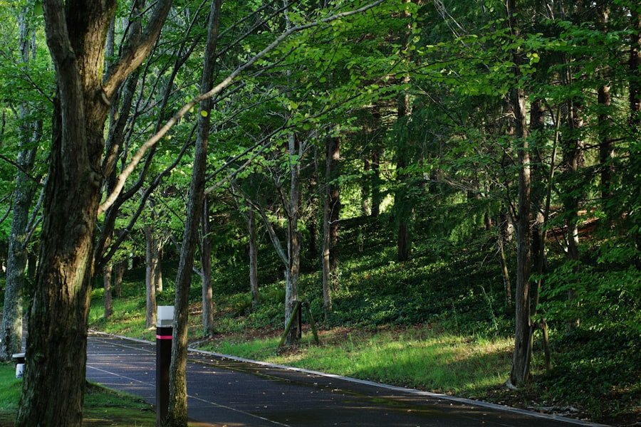 Talladega National Forest scenic drive