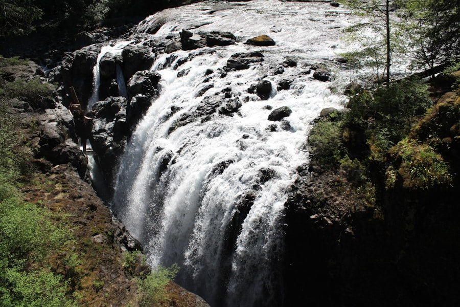 Caney Creek Falls hike guide