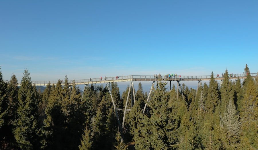 Gelmerbahn viewpoint