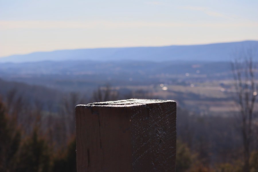 Bachalpsee viewpoint