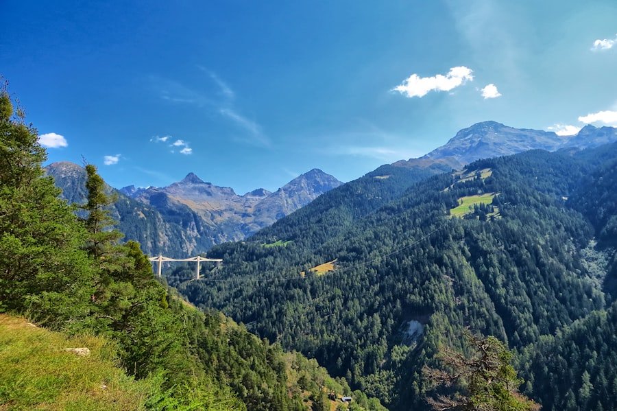 Swiss National Park viewpoint