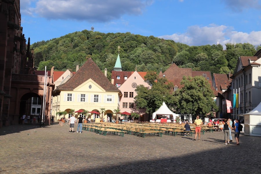 Entrance ticket signage at Trümmelbach Falls (illustrative)