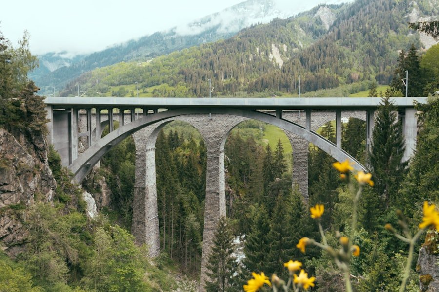 Lavertezzo bridge tickets