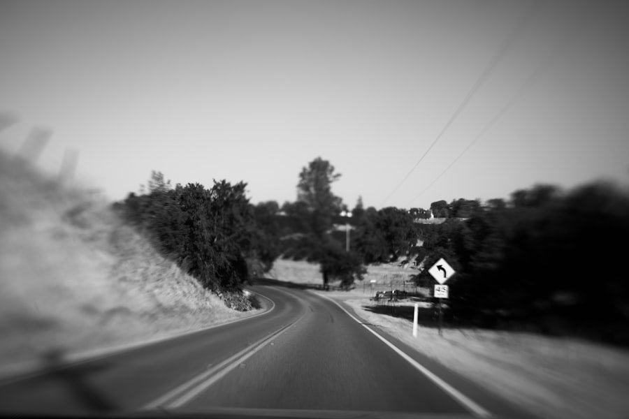 day trips from Montgomery