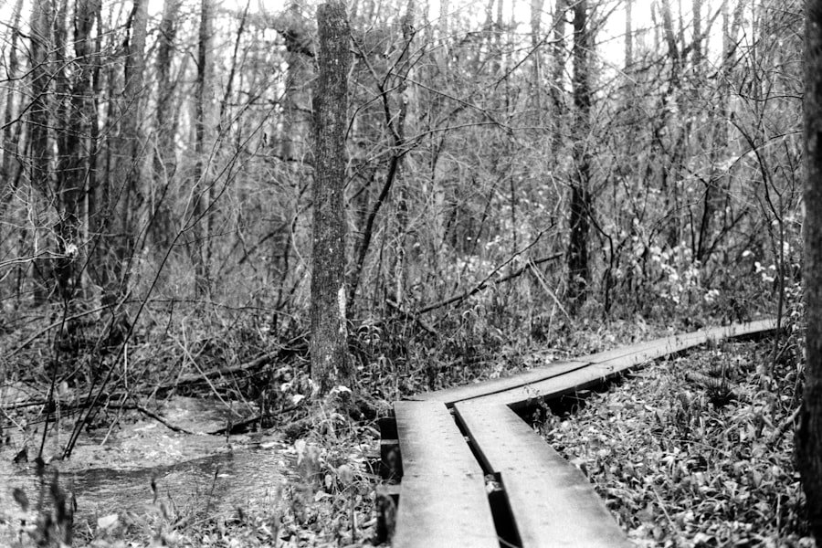 Montgomery civil rights trail