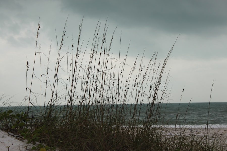 hurricane season Alabama coast