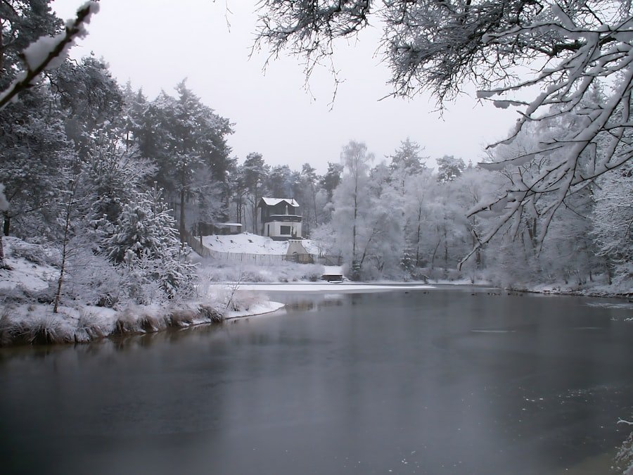 Alabama in winter