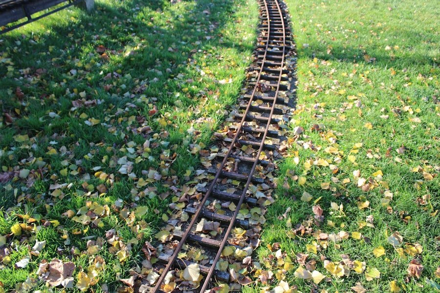 Brienz Rothorn Railway